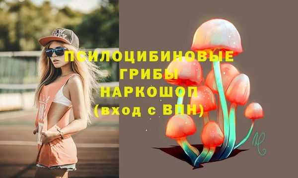 молекула духа Волоколамск